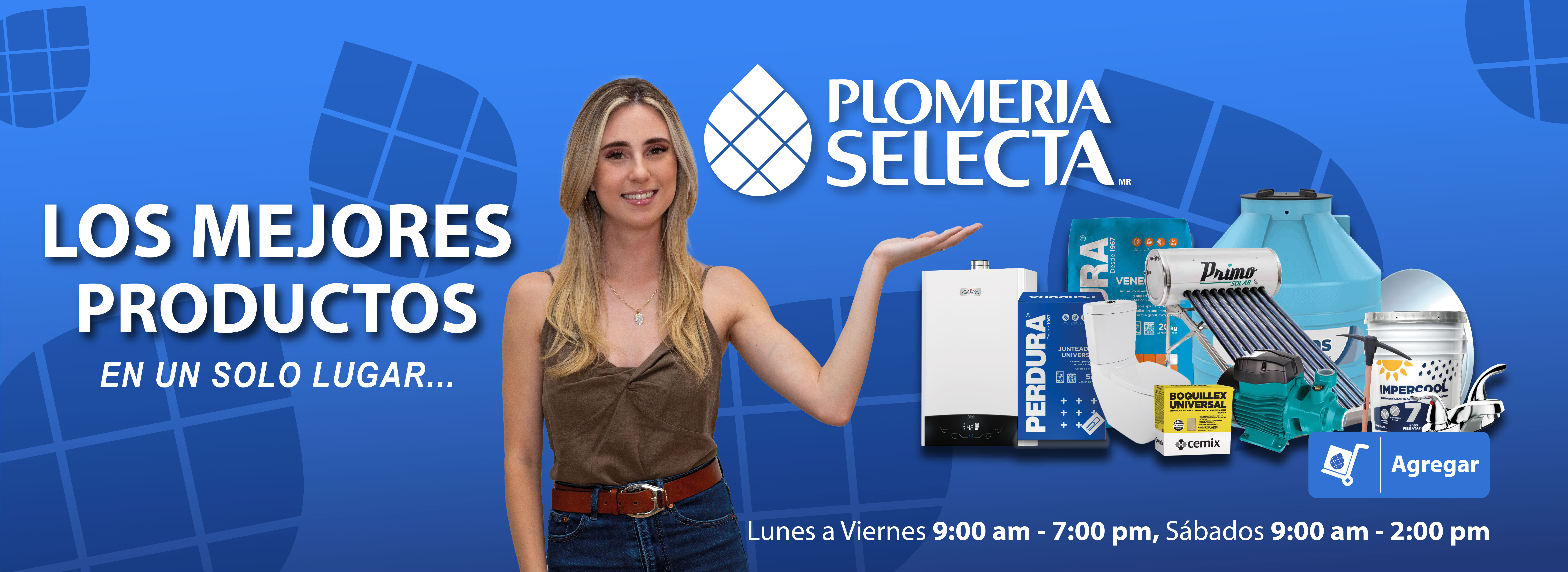 Plomeria selecta banners